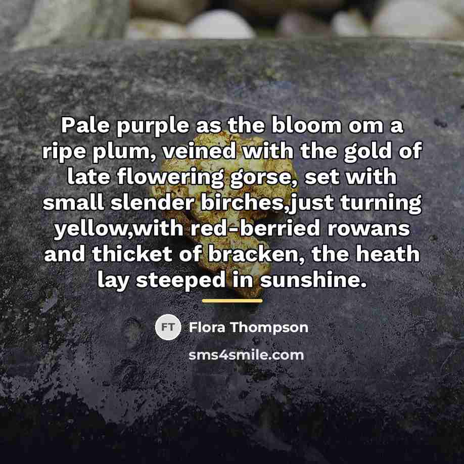 “Pale purple as the bloom om a ripe plum, veined…” quote by Flora Thompson