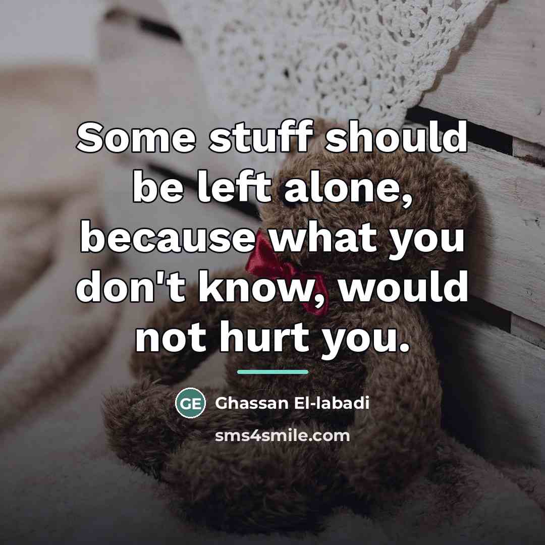 “Some stuff should be left alone, because what you don't…” quote by Ghassan El-labadi