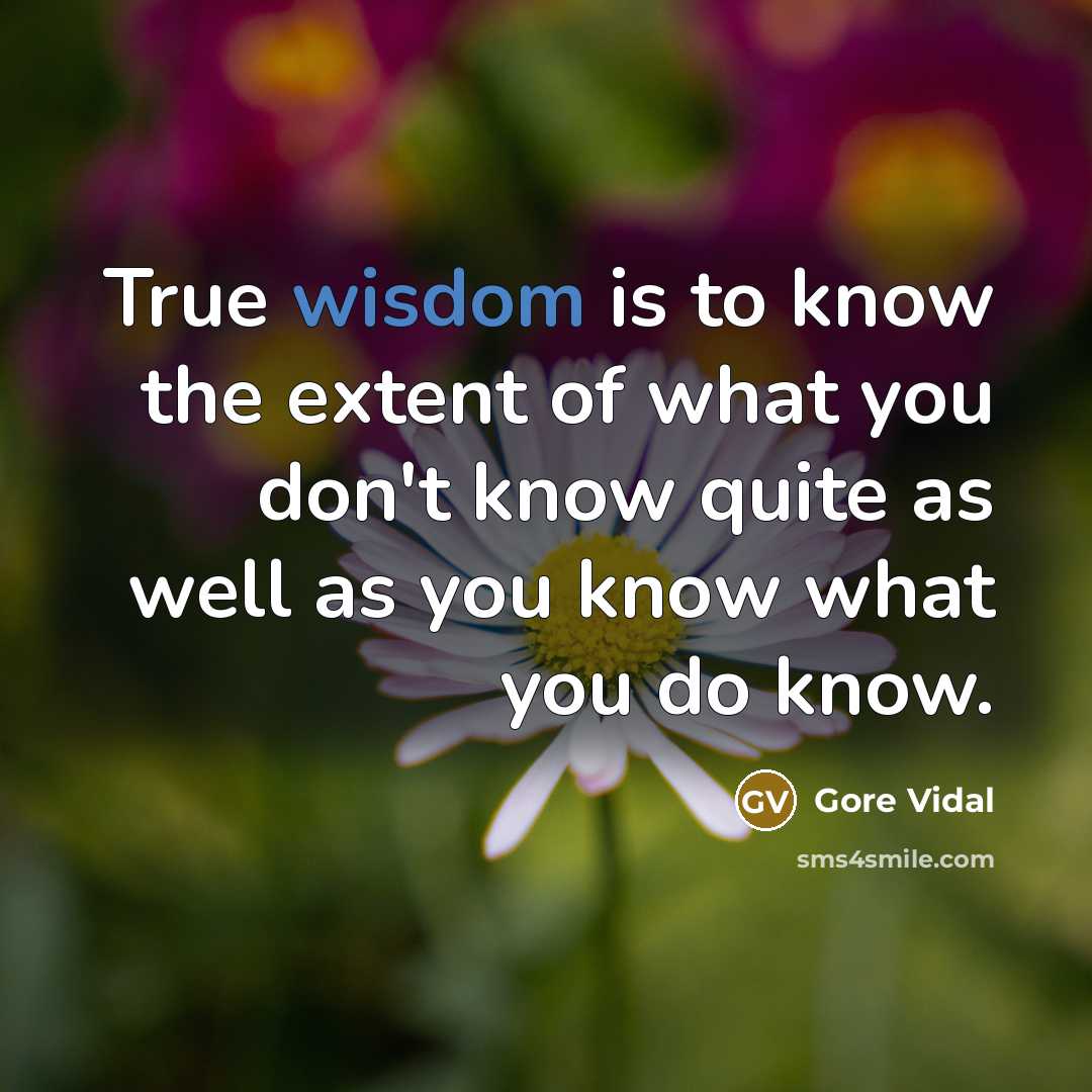 “True wisdom is to know the extent of what you…” quote by Gore Vidal