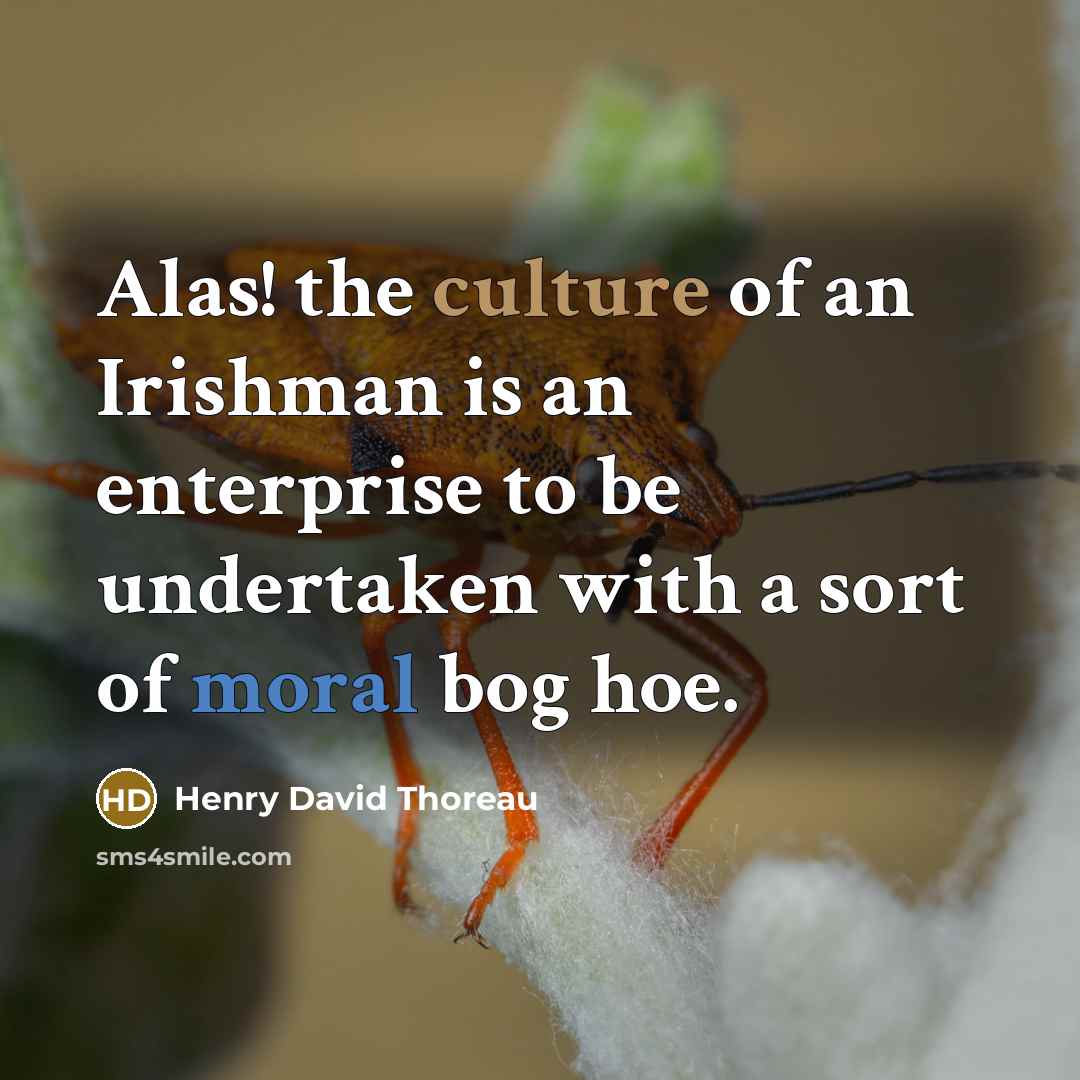 “Alas! the culture of an Irishman is an enterprise to…” quote by Henry David Thoreau