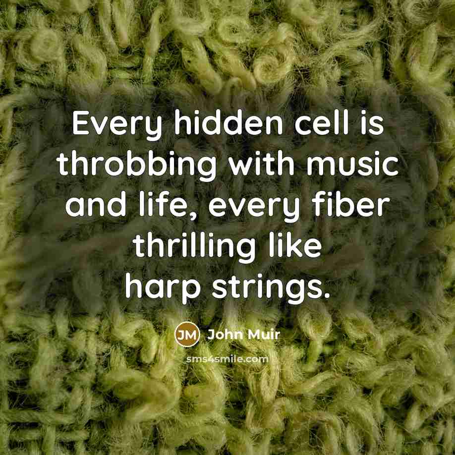 “Every hidden cell is throbbing with music and life, every…” quote by John Muir