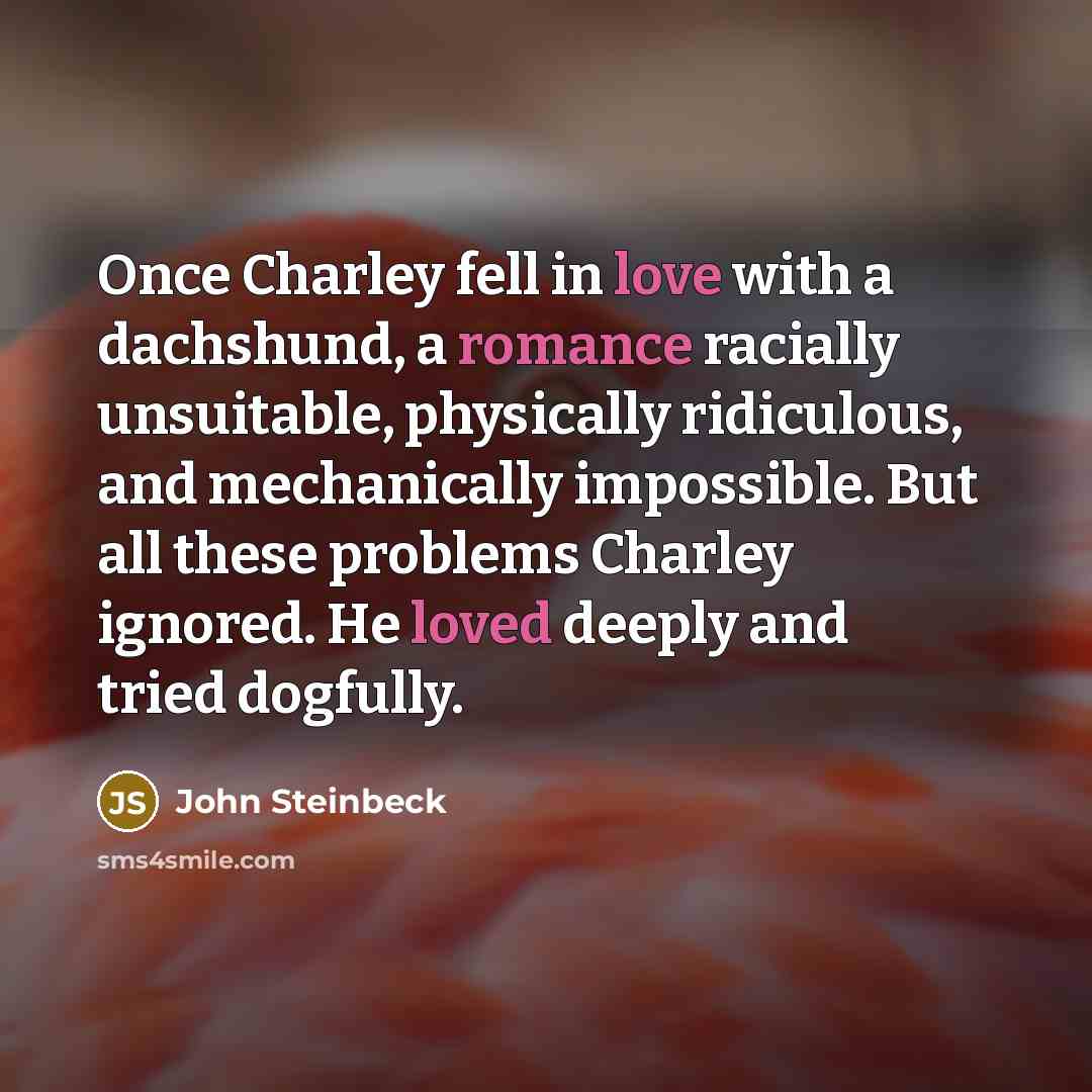 “Once Charley fell in love with a dachshund, a romance racially unsuitable, physically ridiculous, and mechanically impossible. But all these problems Charley ignored. He loved deeply and tried dogfully.” quote by John Steinbeck