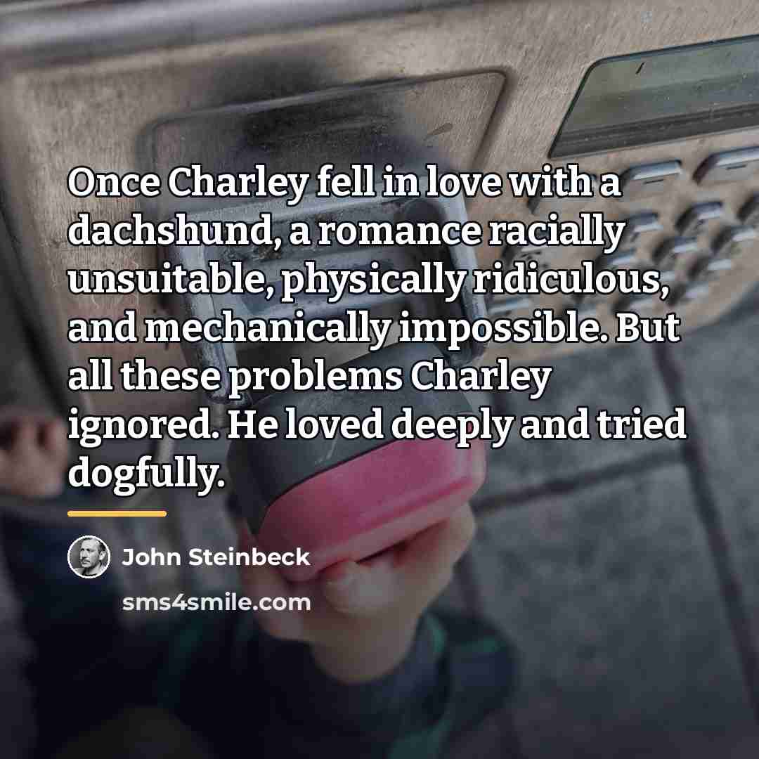 “Once Charley fell in love with a dachshund, a romance…” quote by John Steinbeck