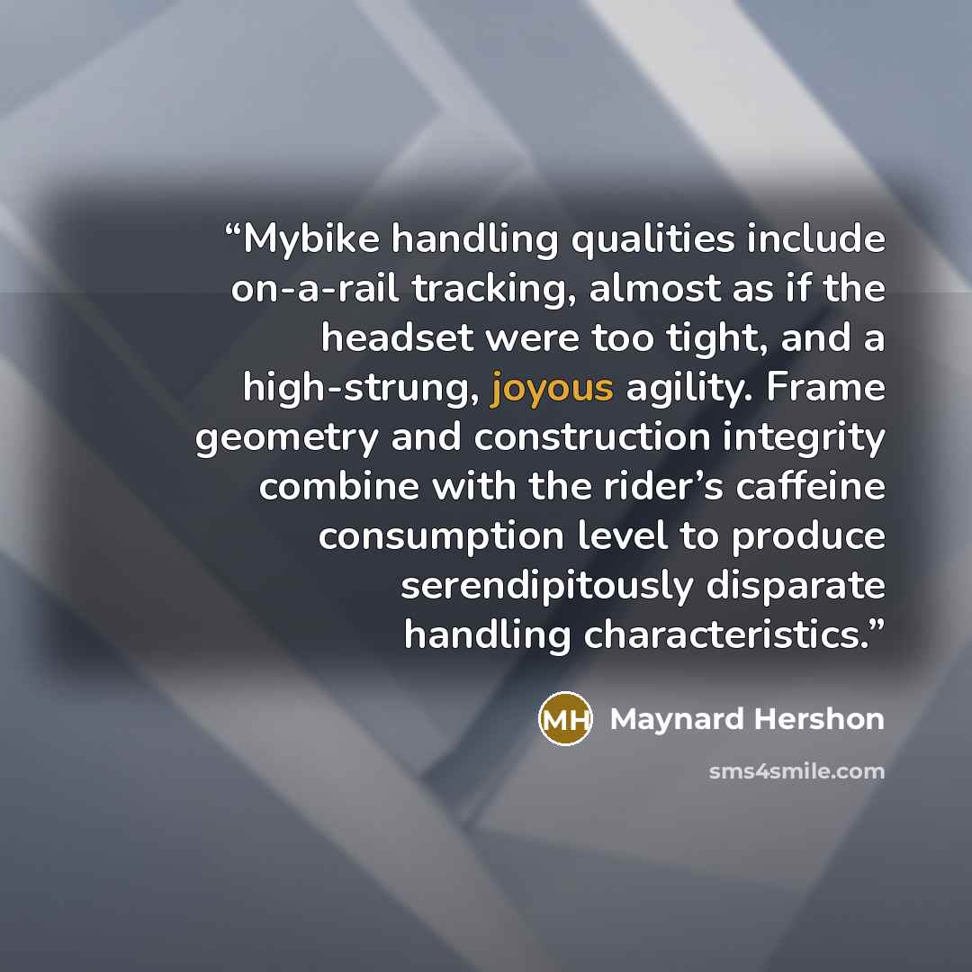 “Mybike handling qualities include on-a-rail tracking, almost as if the headset were too tight, and a high-strung, joyous agility. Frame geometry and construction integrity combine with the rider’s caffeine consumption level to produce serendipitously disparate handling characteristics.” quote by Maynard Hershon