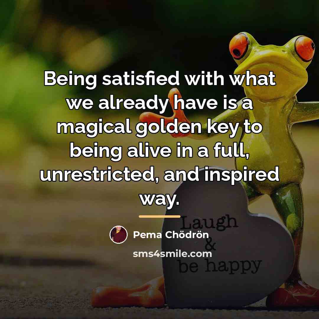 “Being satisfied with what we already have is a magical…” quote by Pema Chodron