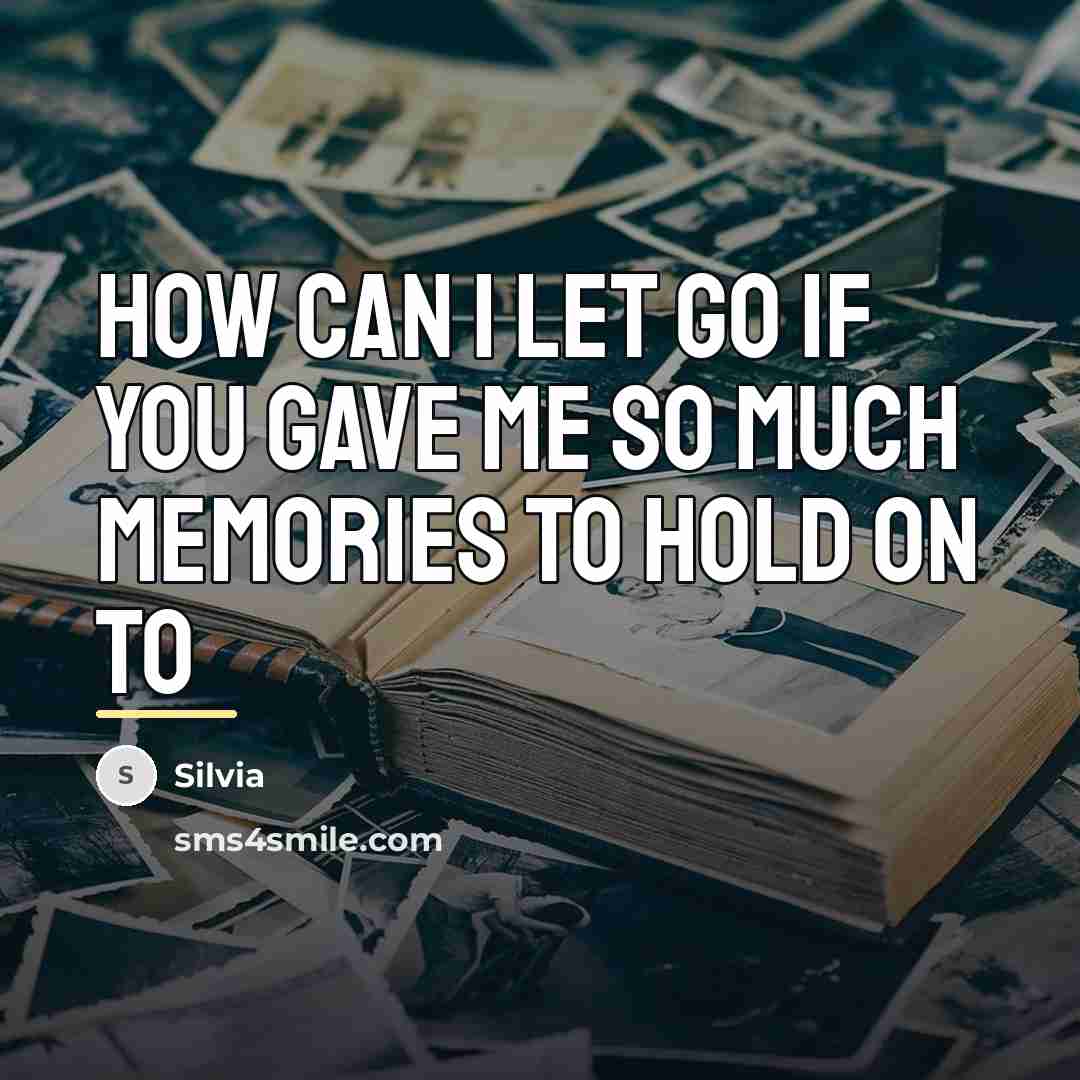 “How can I let go if you gave me so…” quote by Silvia