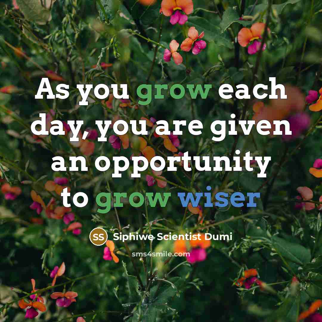 “As you grow each day, you are given an opportunity to grow wiser” quote by Siphiwe Scientist Dumi