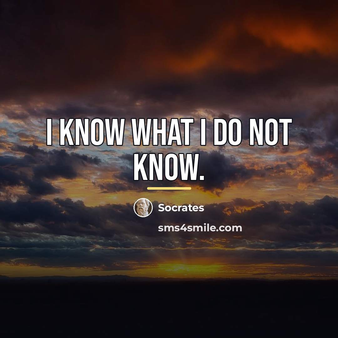 “I know what I do not know.…” quote by Socrates