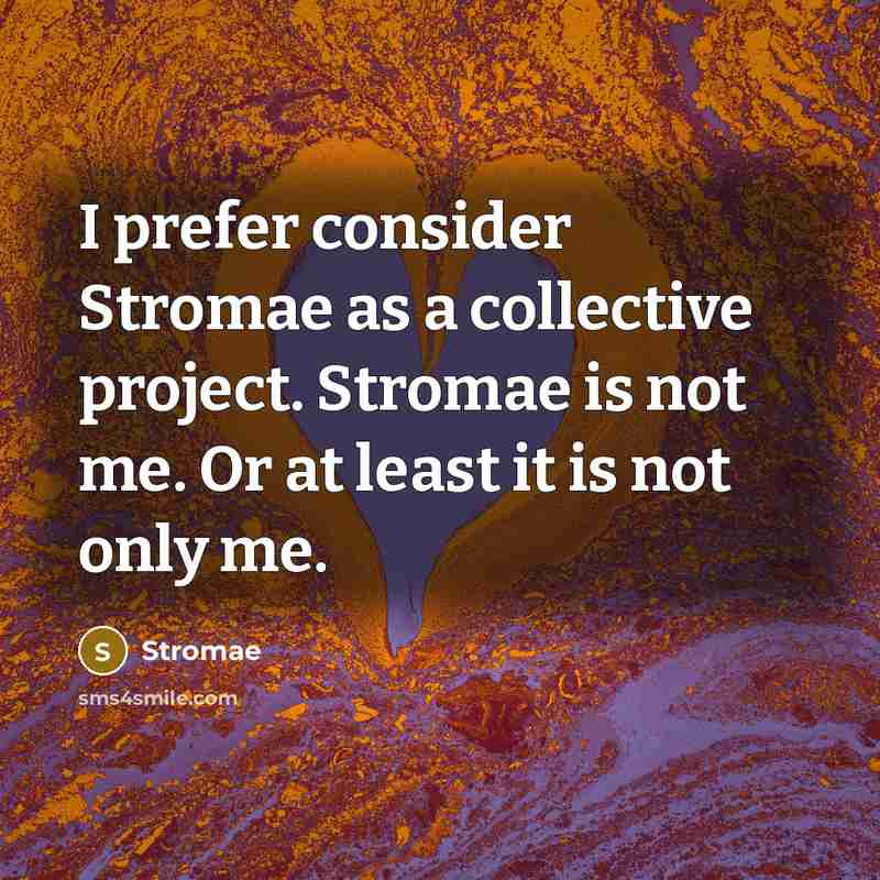 “I prefer consider Stromae as a collective project. Stromae is…” quote by Stromae