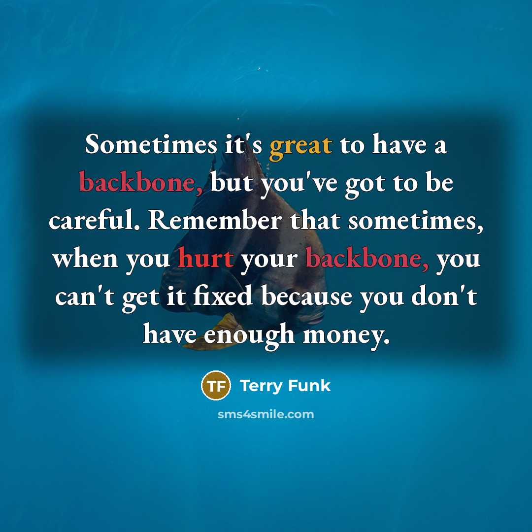 “Sometimes it's great to have a backbone, but you've got to be careful. Remember that sometimes, when you hurt your backbone, you can't get it fixed because you don't have enough money.” quote by Terry Funk