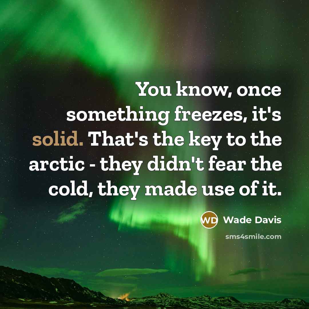 “You know, once something freezes, it's solid. That's the key…” quote by Wade Davis