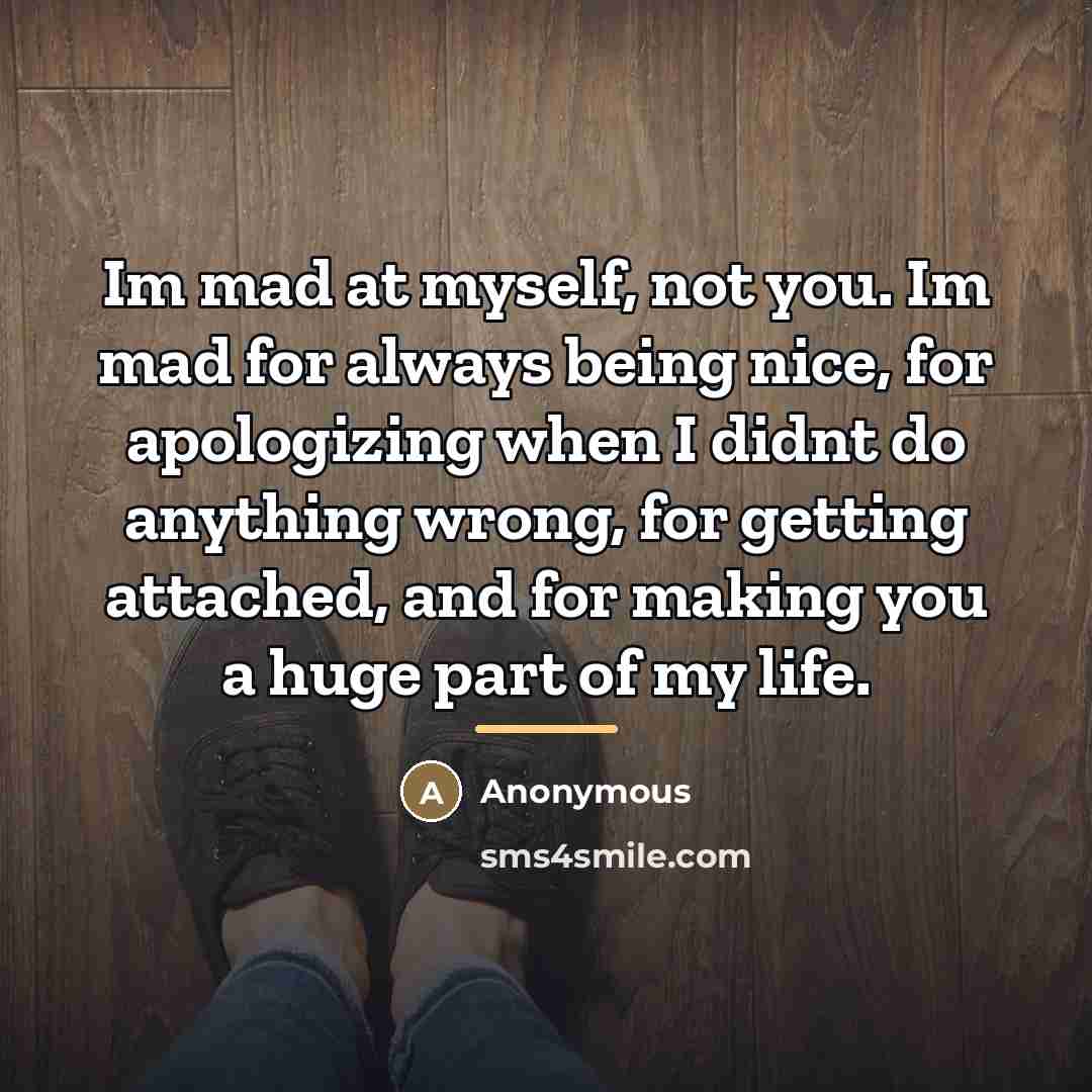 “Im mad at myself, not you. Im mad for always…” quote by Anonymous