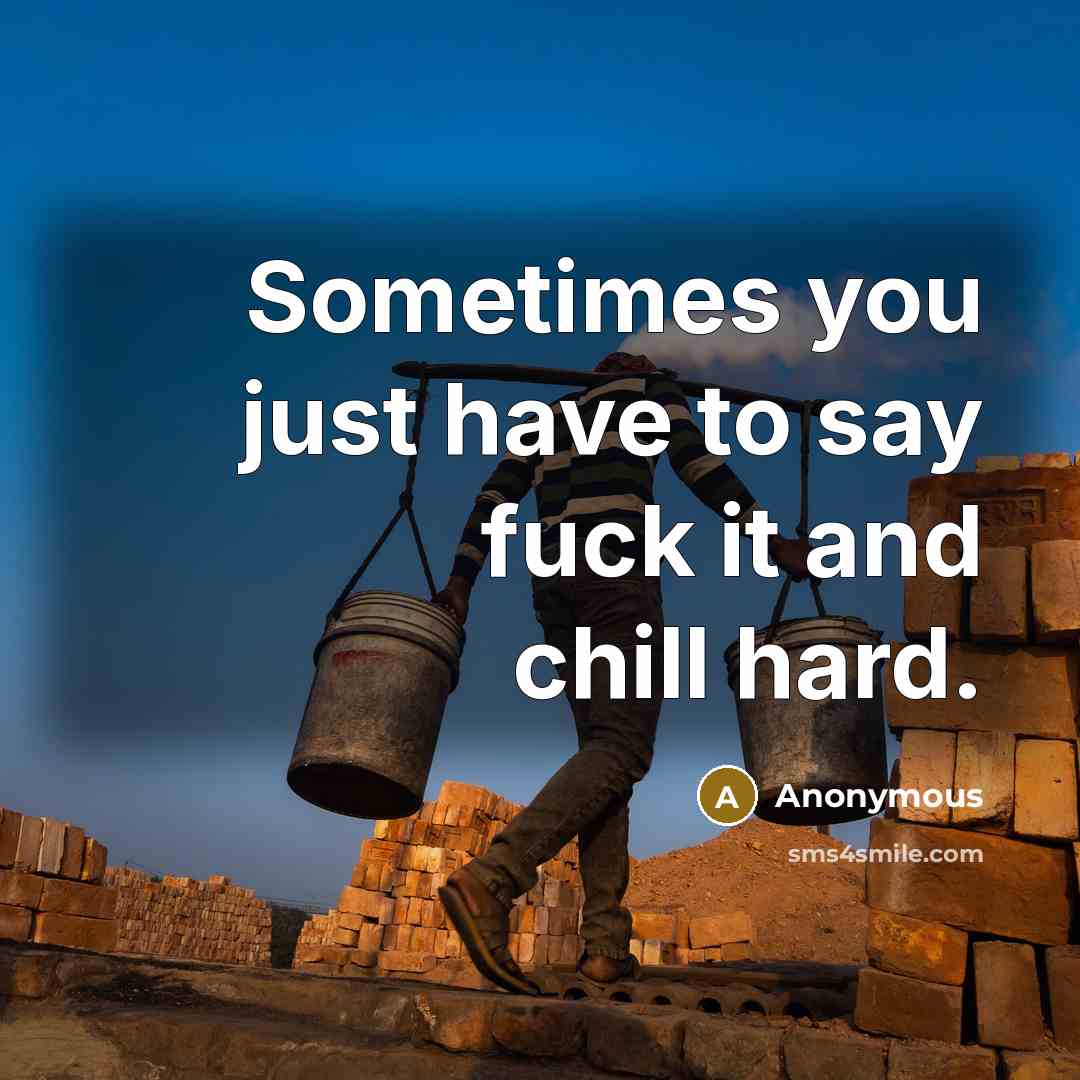 “Sometimes you just have to say fuck it and chill…” quote by Anonymous