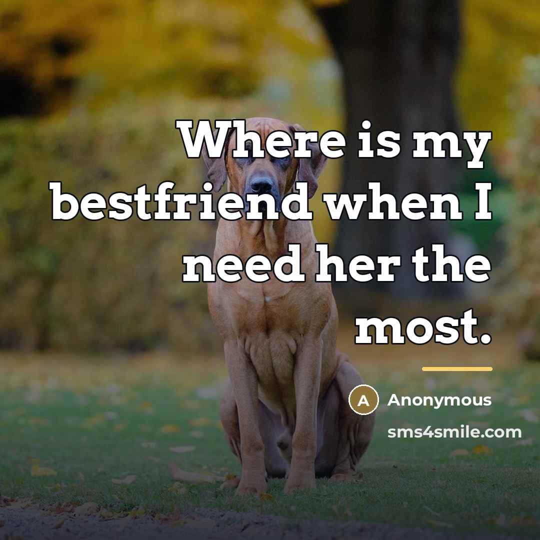 “Where is my bestfriend when I need her the most.…” quote by Anonymous
