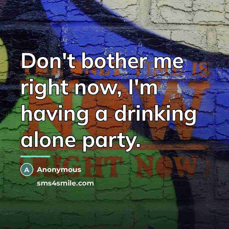“Don't bother me right now, I'm having a drinking alone…” quote by Anonymous