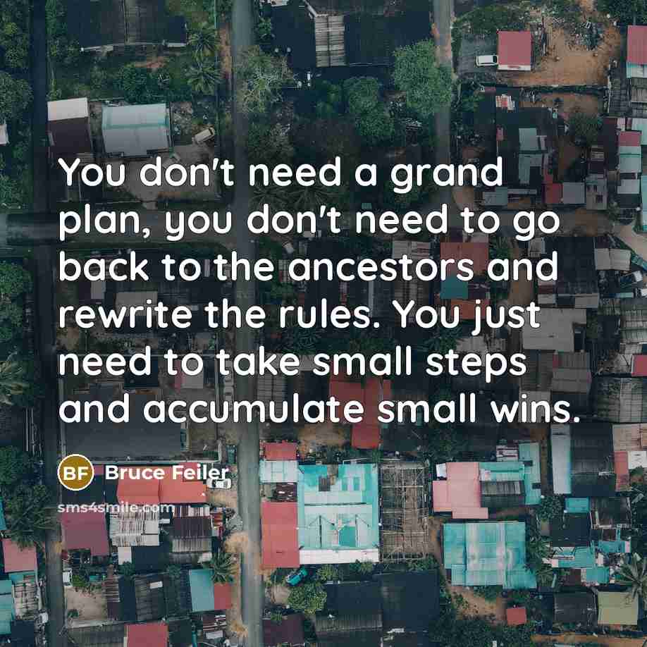 “You don't need a grand plan, you don't need to…” quote by Bruce Feiler