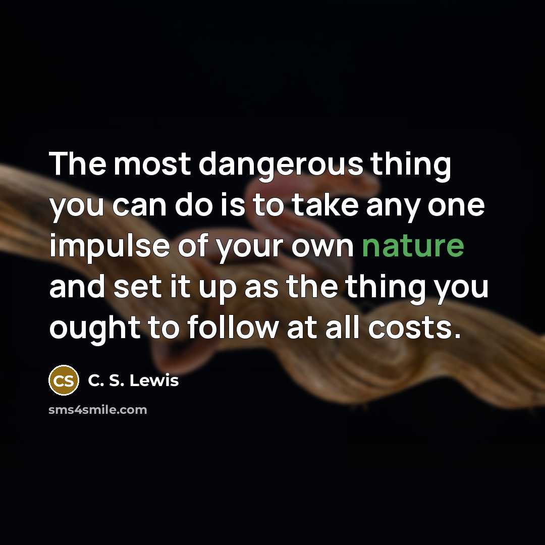 “The most dangerous thing you can do is to take…” quote by C. S. Lewis