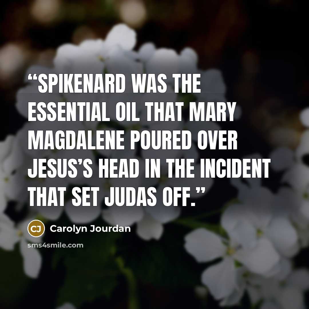 “Spikenard was the essential oil that Mary Magdalene poured over Jesus’s head in the incident that set Judas off.” quote by Carolyn Jourdan