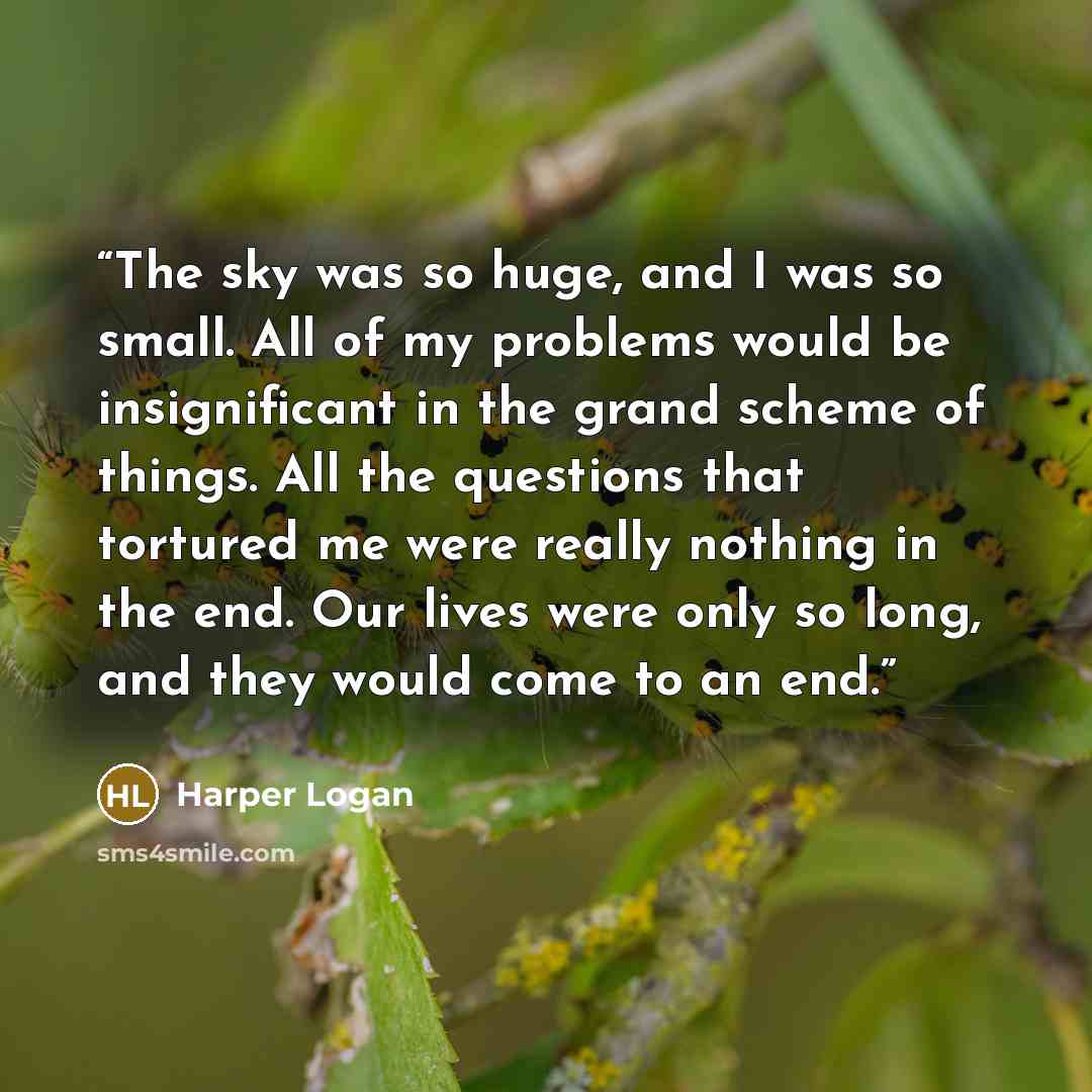 “The sky was so huge, and I was so small. All of my problems would be insignificant in the grand scheme of things. All the questions that tortured me were really nothing in the end. Our lives were only so long, and they would come to an end.” quote by Harper Logan