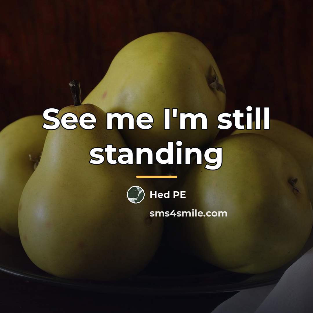 “See me I'm still standing…” quote by Hed PE