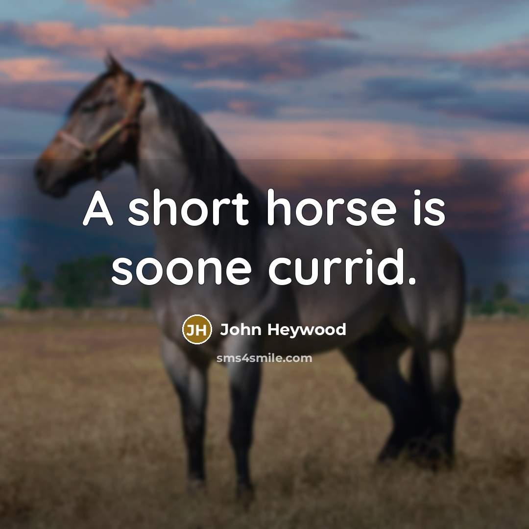 “A short horse is soone currid.…” quote by John Heywood