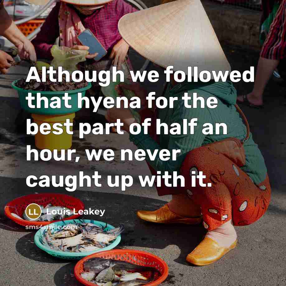 “Although we followed that hyena for the best part of…” quote by Louis Leakey