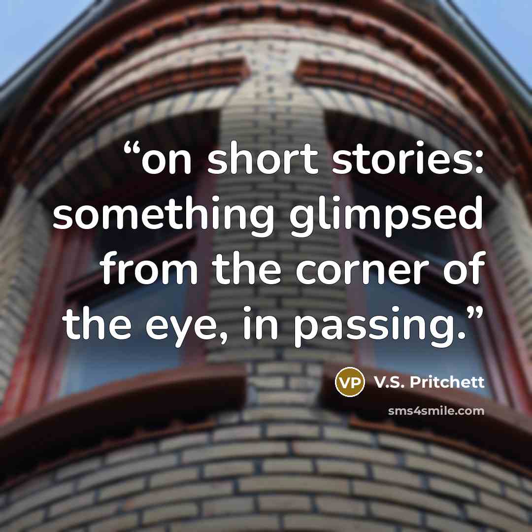 “on short stories: something glimpsed from the corner of the eye, in passing.” quote by V.S. Pritchett