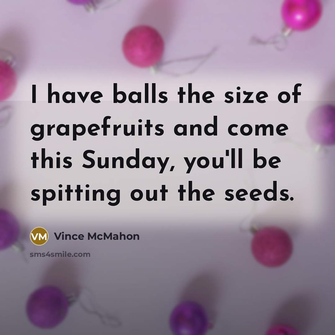 “I have balls the size of grapefruits and come this…” quote by Vince McMahon