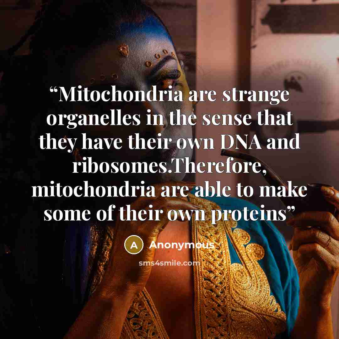 “Mitochondria are strange organelles in the sense that they have their own DNA and ribosomes.Therefore, mitochondria are able to make some of their own proteins” quote by Anonymous