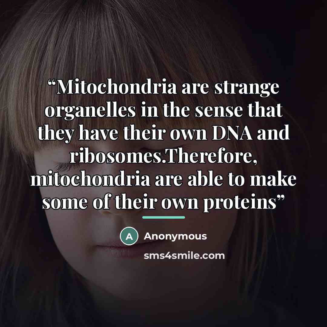 “Mitochondria are strange organelles in the sense that they have their own DNA and ribosomes.Therefore, mitochondria are able to make some of their own proteins” quote by Anonymous