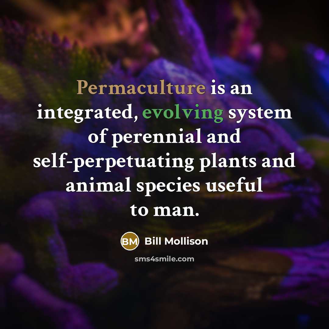 “Permaculture is an integrated, evolving system of perennial and self-perpetuating plants and animal species useful to man.” quote by Bill Mollison