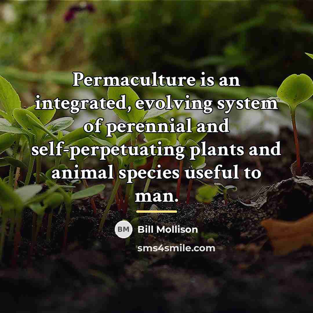 “Permaculture is an integrated, evolving system of perennial and self-perpetuating…” quote by Bill Mollison