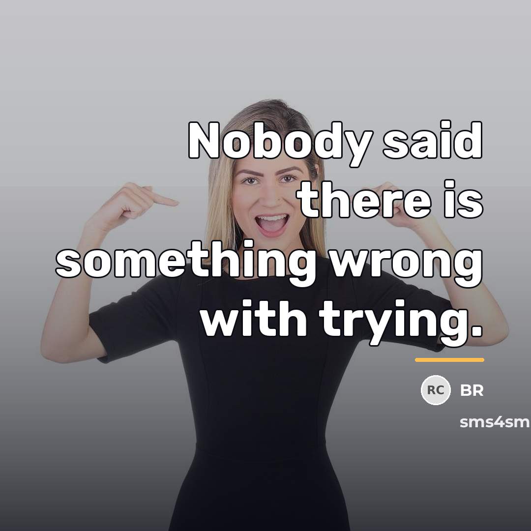 “Nobody said there is something wrong with trying.…” quote by BR