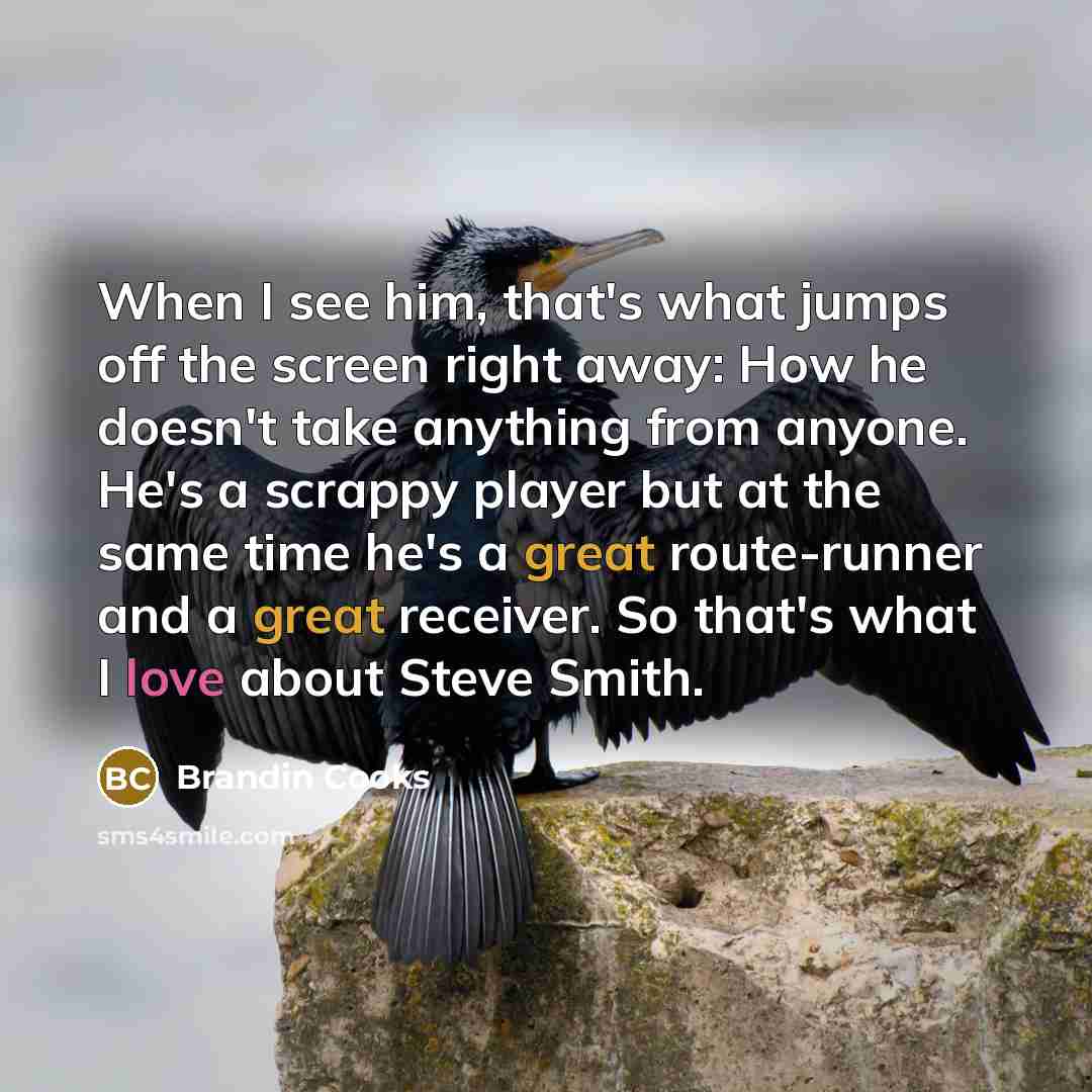 “When I see him, that's what jumps off the screen right away: How he doesn't take anything from anyone. He's a scrappy player but at the same time he's a great route-runner and a great receiver. So that's what I love about Steve Smith.” quote by Brandin Cooks