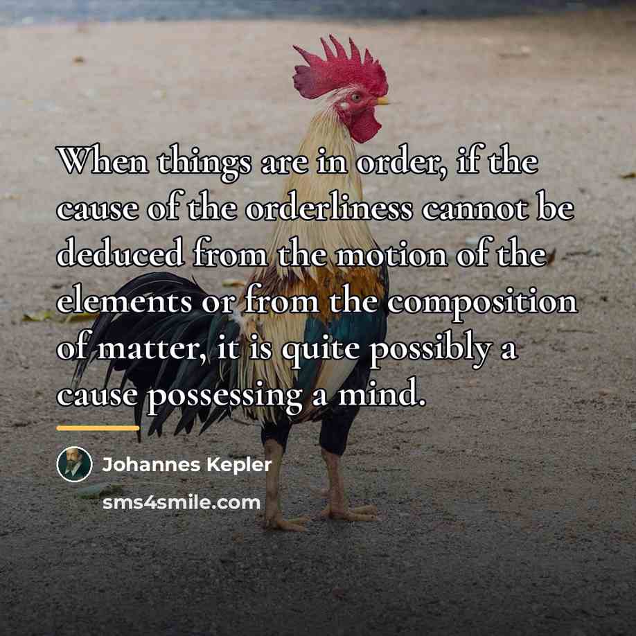 “When things are in order, if the cause of the…” quote by Johannes Kepler