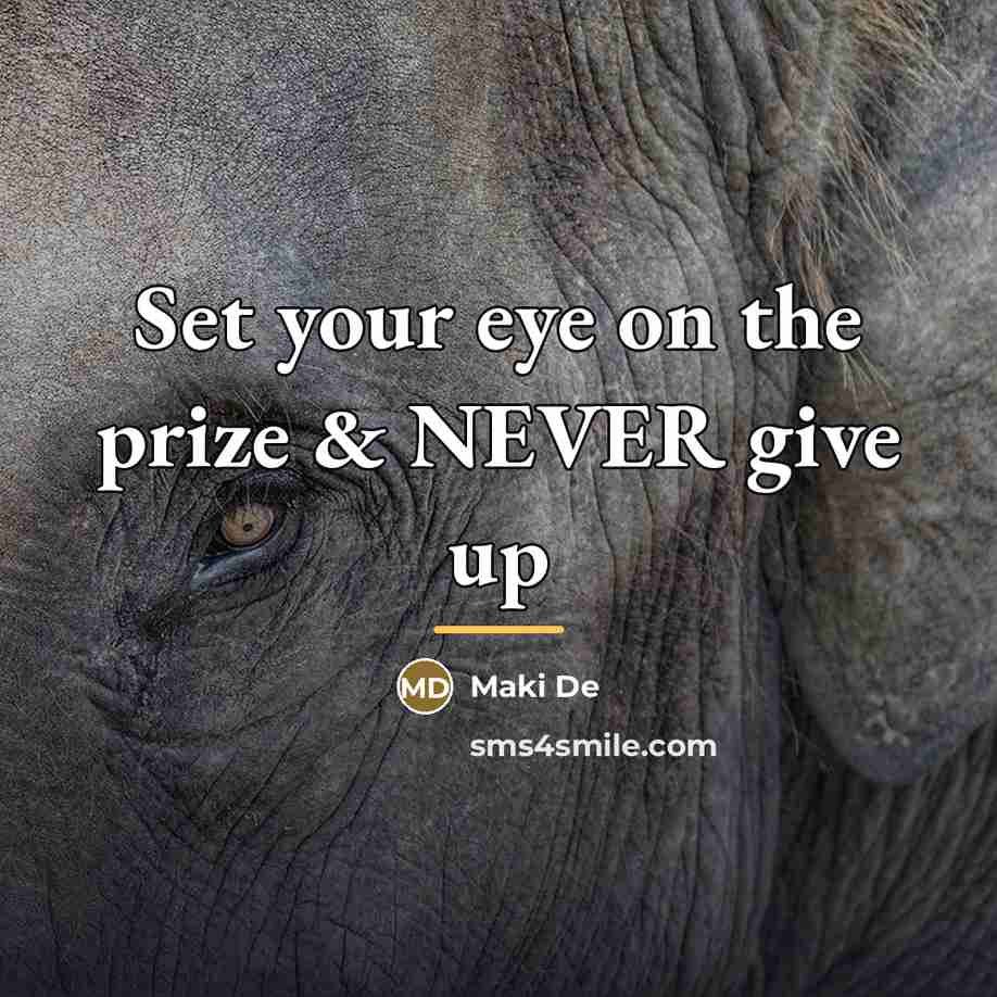“Set your eye on the prize & NEVER give up…” quote by Maki De