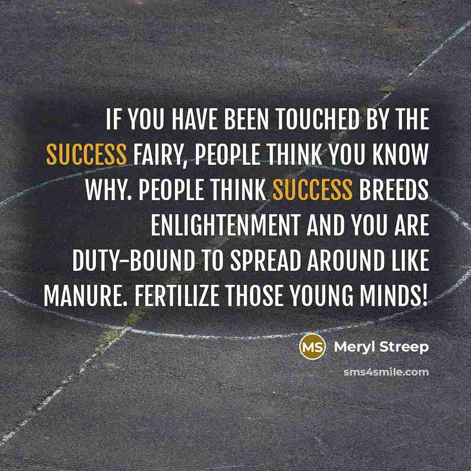 “If you have been touched by the success fairy, people…” quote by Meryl Streep
