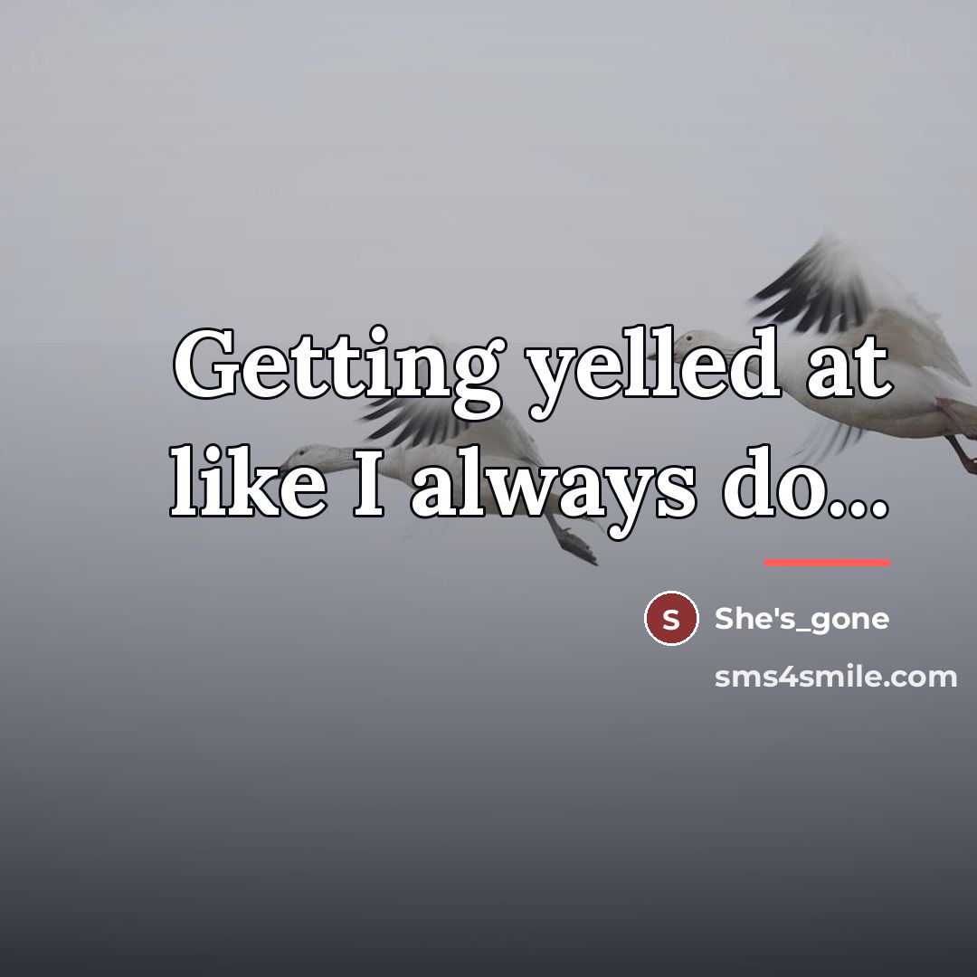 “Getting yelled at like I always do...…” quote by She's_gone