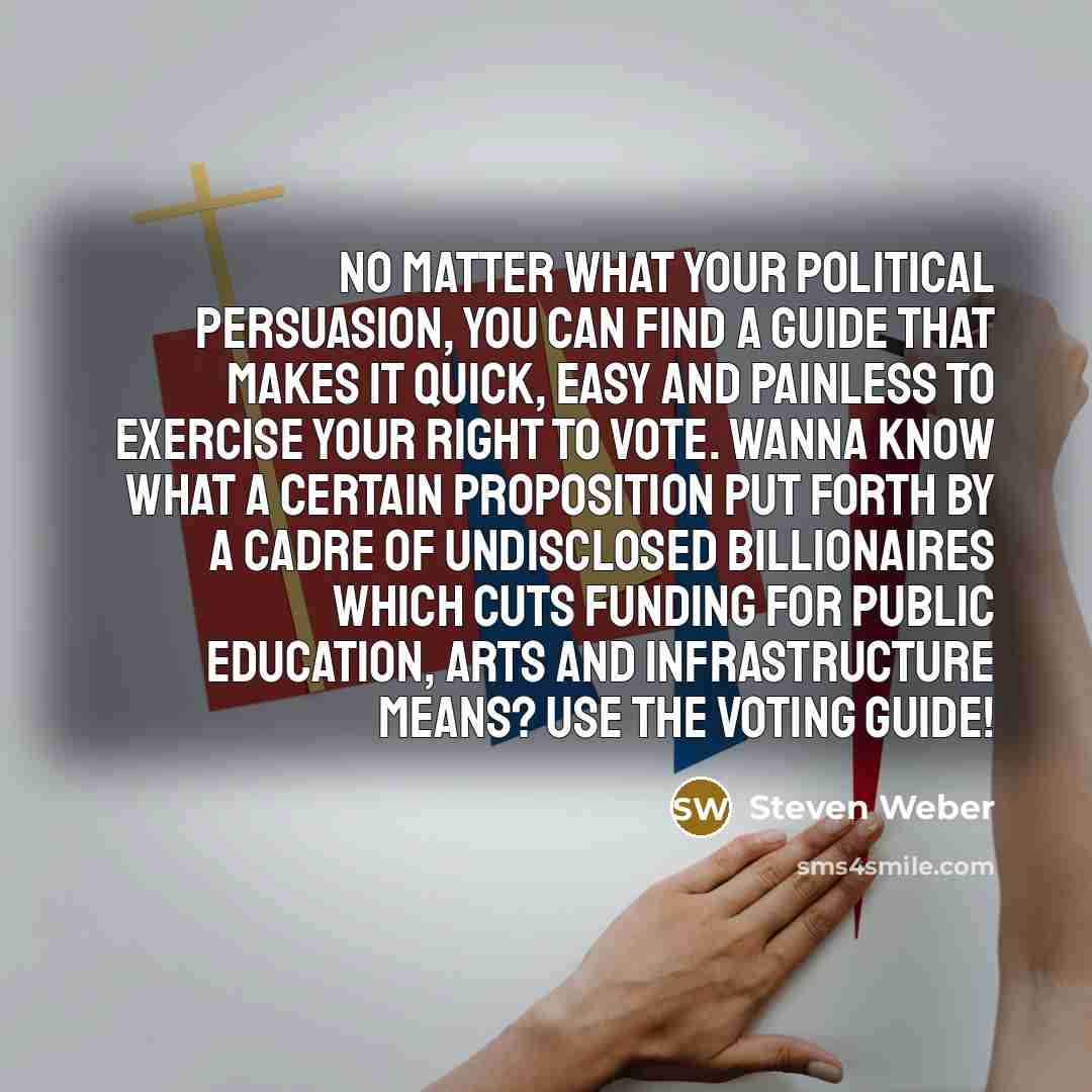 “No matter what your political persuasion, you can find a…” quote by Steven Weber