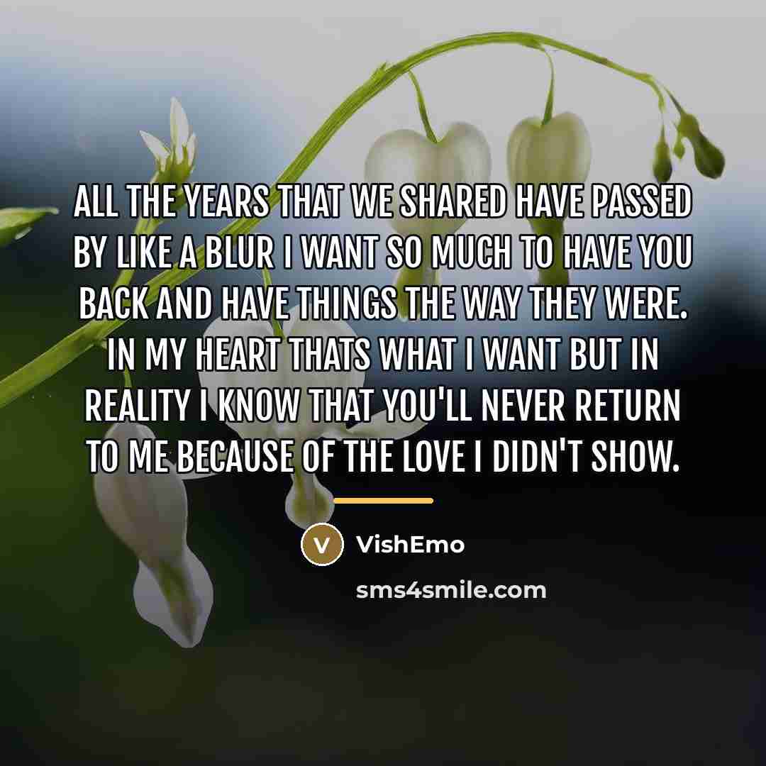 “All the years that we shared Have passed by like…” quote by VishEmo