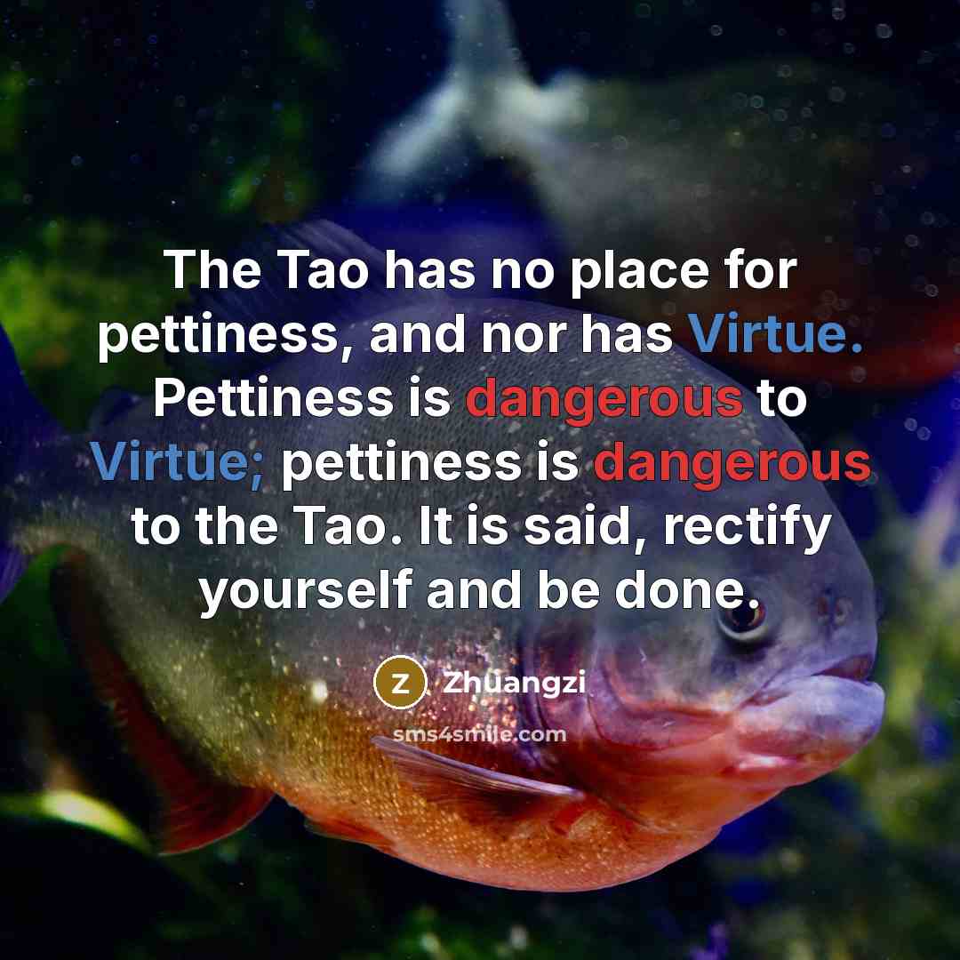 “The Tao has no place for pettiness, and nor has…” quote by Zhuangzi
