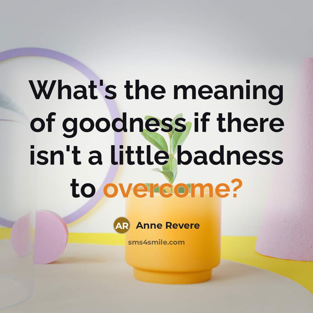 “What's the meaning of goodness if there isn't a little badness to overcome?” quote by Anne Revere