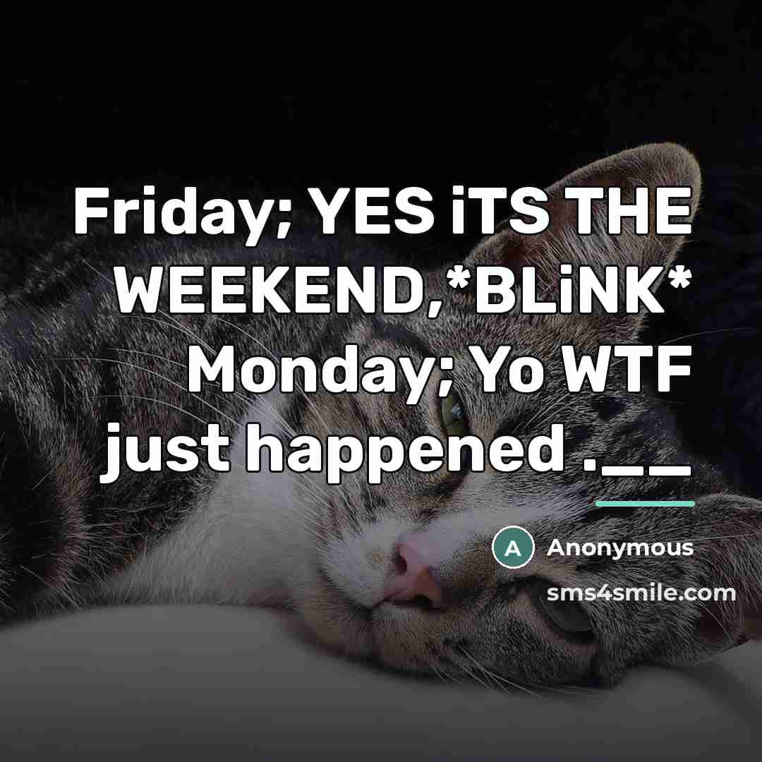 “Friday; YES iTS THE WEEKEND,*BLiNK* Monday; Yo WTF just happened…” quote by Anonymous