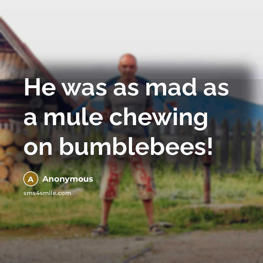 “He was as mad as a mule chewing on bumblebees!…” quote by Anonymous