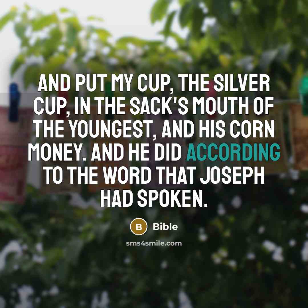 “And put my cup, the silver cup, in the sack's mouth of the youngest, and his corn money. And he did according to the word that Joseph had spoken.” quote by Bible