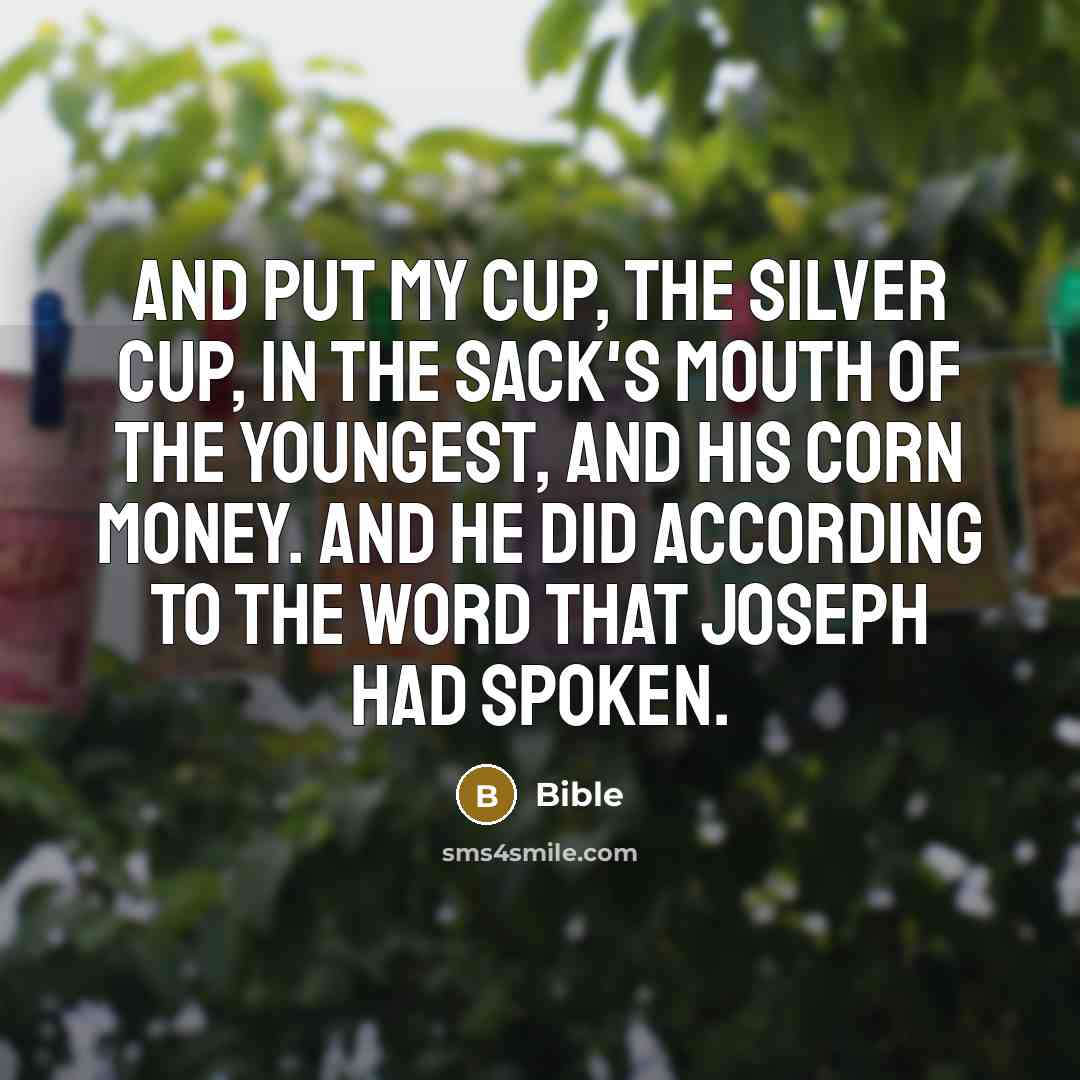 “And put my cup, the silver cup, in the sack's…” quote by Bible