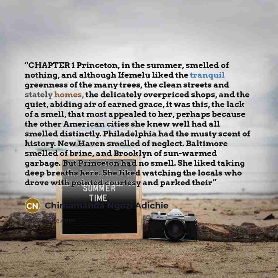 “CHAPTER 1 Princeton, in the summer, smelled of nothing, and although Ifemelu liked the tranquil greenness of the many trees, the clean streets and stately homes, the delicately overpriced shops, and the quiet, abiding air of earned grace, it was this, the lack of a smell, that most appealed to…” quote by Chimamanda Ngozi Adichie