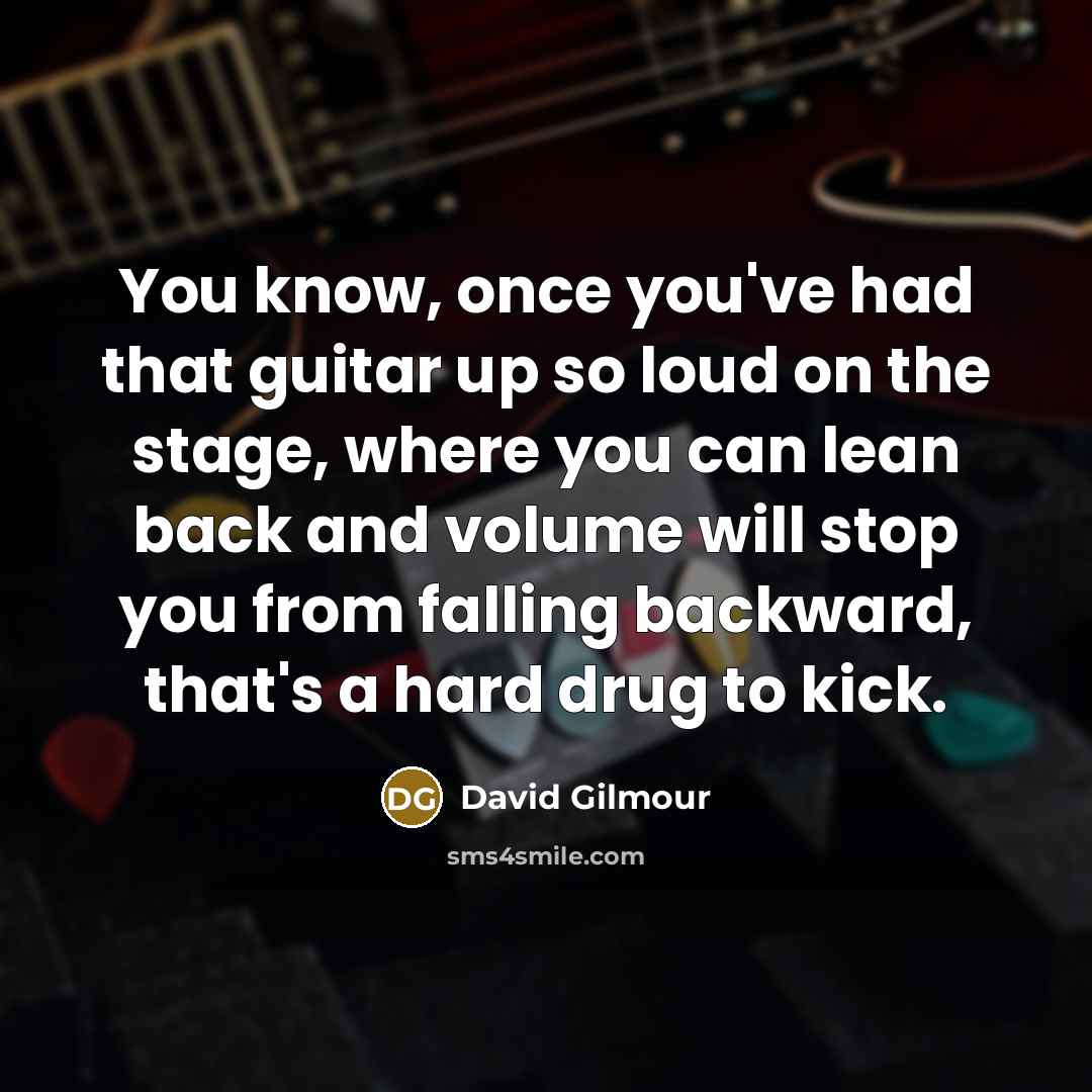 “You know, once you've had that guitar up so loud…” quote by David Gilmour