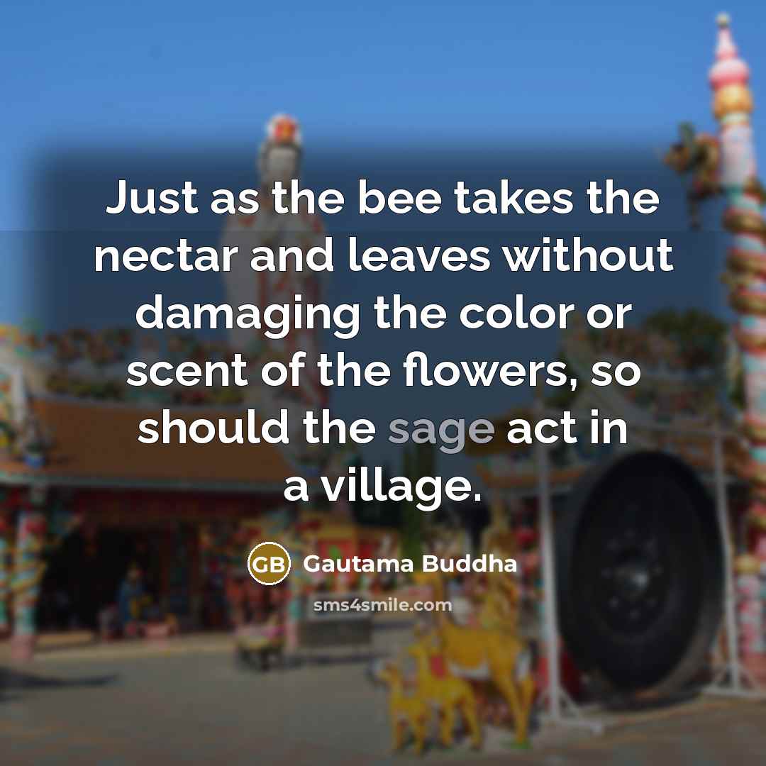 “Just as the bee takes the nectar and leaves without…” quote by Gautama Buddha