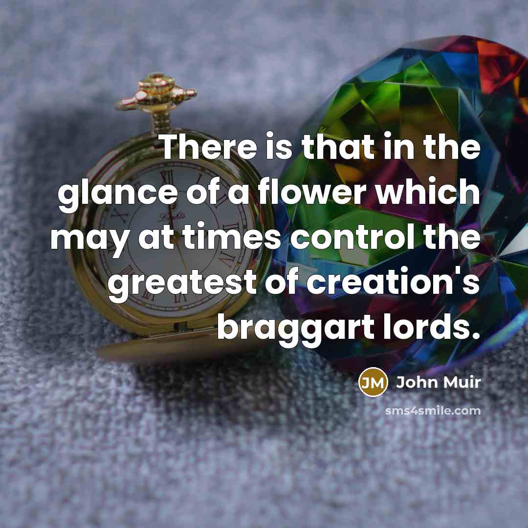 “There is that in the glance of a flower which…” quote by John Muir